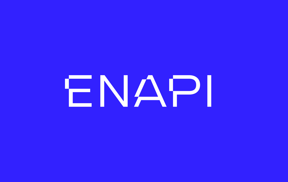 Enapi logo
